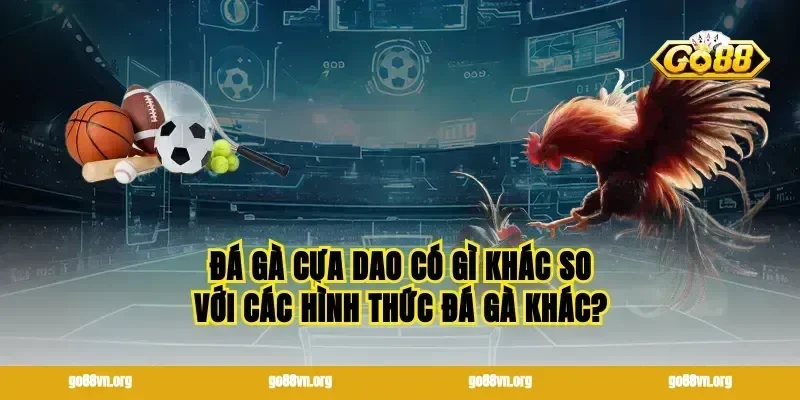 Đá gà cựa dao có gì khác so với các hình thức đá gà khác?