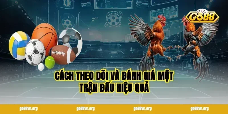 Cách theo dõi và đánh giá một trận đấu hiệu quả