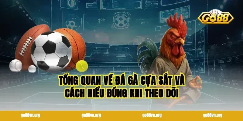 Tổng quan về đá gà cựa sắt và cách hiểu đúng khi theo dõi
