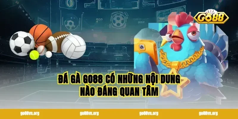 Đá gà go88 có những nội dung nào đáng quan tâm